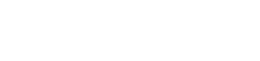 PRUMO